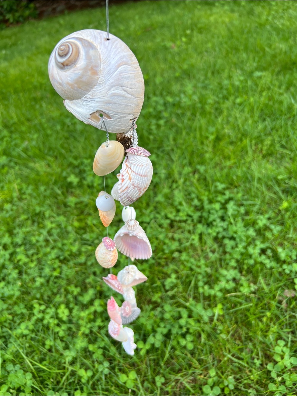 Handmade Seashell Wind Chime - Natural Shells - Picture 5 of 10